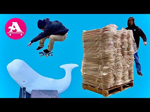ALL I NEED SKATE: SKATEBOARDS, APPAREL & SHREDDING!