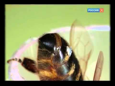 Что делать при алкогольной зависимости