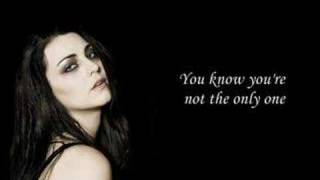 Watch Evanescence The Only One video