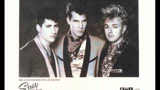 Watch Stray Cats Looking For Someone To Love video