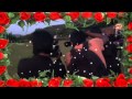 Is Veena Malik A Big Threat For Bollywood Actresses ? Daal Main Kuch Kala Hai (movie)