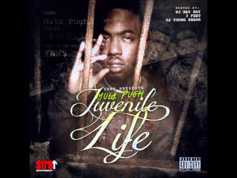 Down Bad Bitch - (Mula Pugh - Juvenile Life)