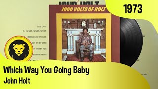 Watch John Holt Which Way You Going Baby video