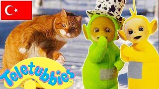 Teletubbies Türkçe | Teletubbies ve Hayvanlar | Sezon 01 | Çocuklar için Çizgi F