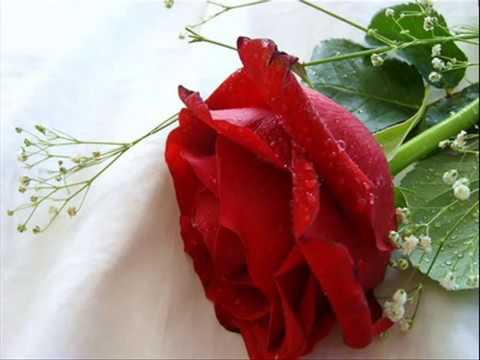 Hum unse mohabbat kar ke