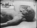 Real Aliens Caught On Camera