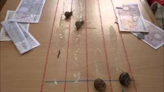 Watch Gish Snail video
