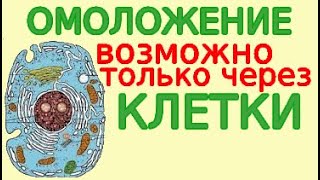 Старость - Не Болезнь, Но Лекарства Есть. Как Омолодить Свой Организм Самостоятельно.. Часть Первая.