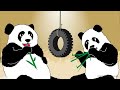 WWF Earth Hour 2011 - Randy Pandas