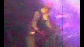 Watch Fields Feathers video