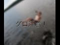 『グロ注意』車椅子に乗った老人が落下した動画