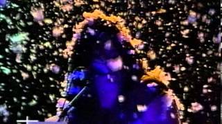 Watch Type O Negative Too Late Frozen video