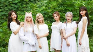 Everglow D1