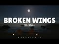 Mr. Mister - Broken wings (LYRICS) ♪