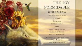 The Joy Formidable - Bats [Official Audio From Wolf'S Law]
