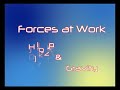 Friction & Gravity: Forces at Work