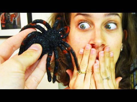 GIANT SPIDER IN MY BED!!! (4.1.10 - Day 336)