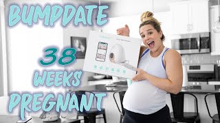 Bumpdate - 38 Weeks Pregnant