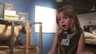 Unshelved Visitor Reactions