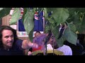 Chilli Tests "Black Habanero" Capsicum Chinense