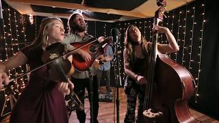 Magnolia North - "Into A Hole"