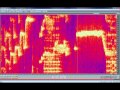 Spectrogram Rachele Gilmore