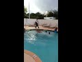 Bride and bridesmaids jump into pool