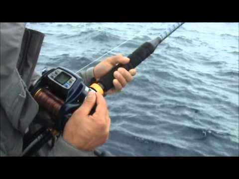 Deep  Fishing Georgia on Deep Sea Fishing    Savannah Ga Usa With Daiwa Tanacom Bull Power