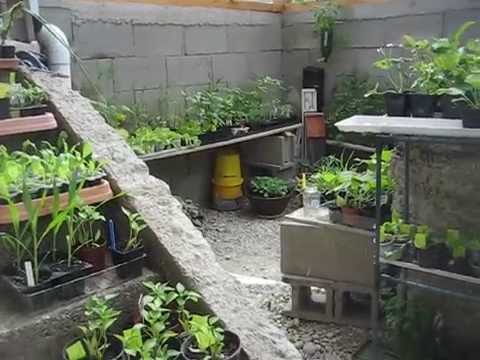 Tour of Pit Greenhouse Walipini Mid-May - YouTube