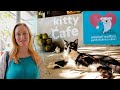 Koh Lanta Thailand 2019 - Cute Kittens at Lanta Animal Welfare