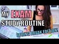 MY EXAM STUDY ROUTINE | How To Study During The Holidays!