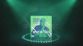 Adam Novy - Split In Two (Steven Liquid Remix)