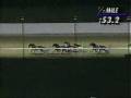 Breeders Crown 1990 2YRCP -- USTA Harness Racing