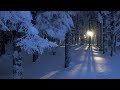 Szép téli felvételek  gyönyörű relaxációs  zenével -  PETER HEAVEN & blue light orchestra