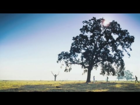 VIDEOS RELACIONADOS