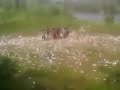 image Duaar Ren Saat Ledakan Mercon Raksasa Yang Tewaskan Muhtoha