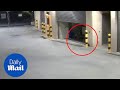 Does this CCTV capture 'janitor' ghost throwing a broom? - Daily Mail Does this CCTV capture 'janitor' ghost throwing a broom? - Daily Mail