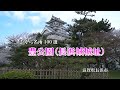 長浜城城址と桜