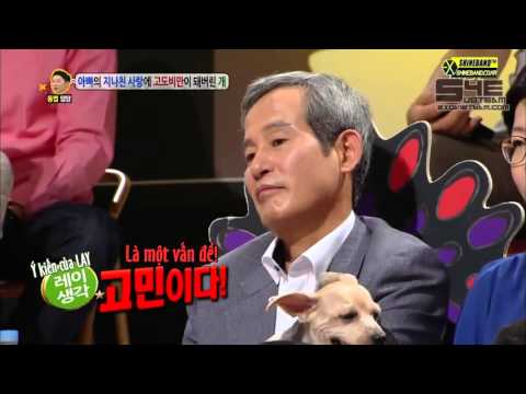 Vietsub 14 10 13 EXO KAI, LAY HELLO CUT EXOVIETNAM COM