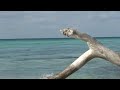Saona