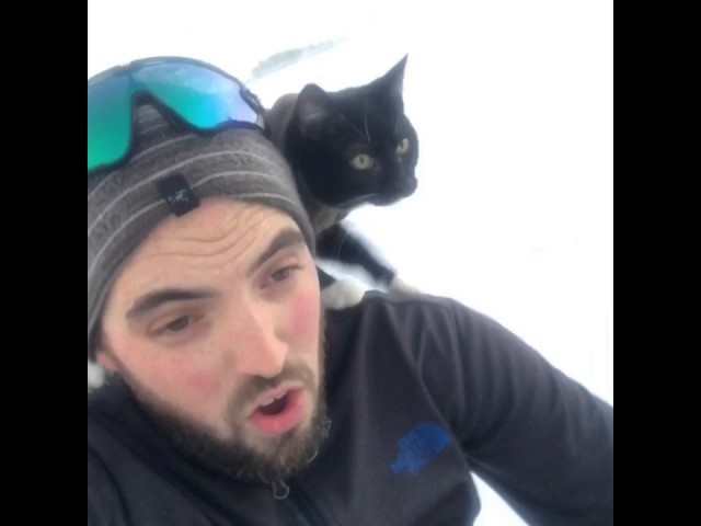 Sledding With A Cat - Video