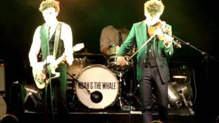 Watch Noah & The Whale Wild Thing video