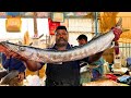 KASIMEDU 🔥 SPEED SELVAM | BARRACUDA FISH CUTTING VIDEO | IN KASIMEDU | FF CUTTING 🔪