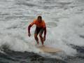 Longboard Surfers 