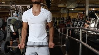 Full Body Workout