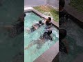 image Jogjasolotrip Edisi Balap Renang 1