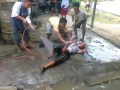 Orang Gila Di Doorsmer images Orang Gila Di Doorsmer