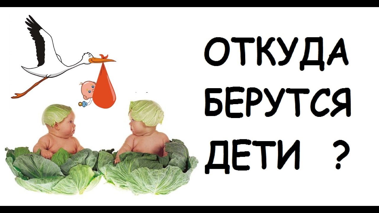 Вопрос как сделать детей Вопрос как сделать детей