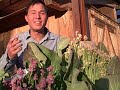 12 Reasons Why I Grow My Fresh Food - Fruits and Vegetables in my Front Yard