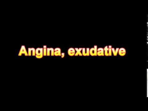 Header of exudative
